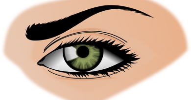 auge