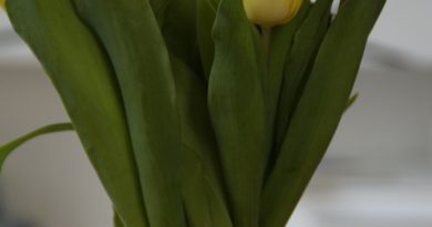 Blumenvase