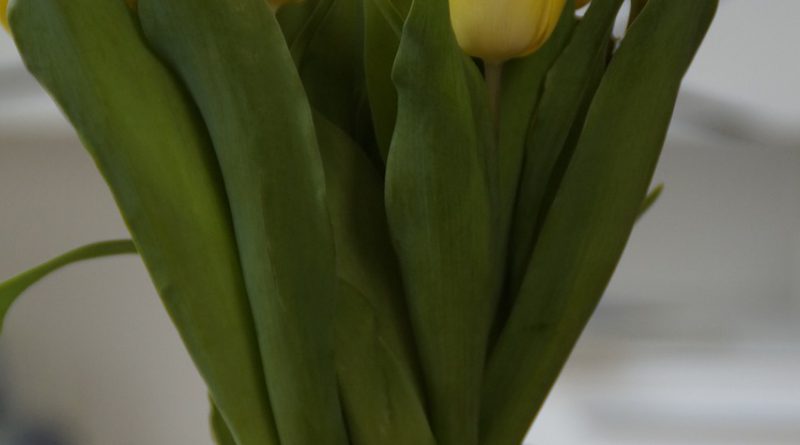 Blumenvase