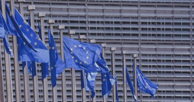 politisches Engagement