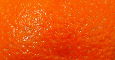cellulite kapsel