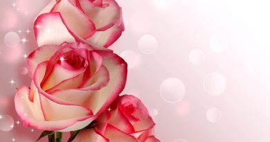 Blumenversand