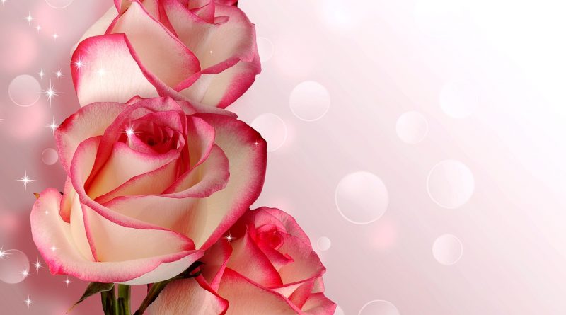 Blumenversand