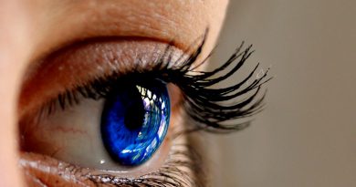 Wimpern