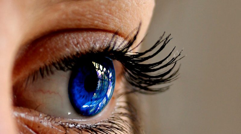 Wimpern