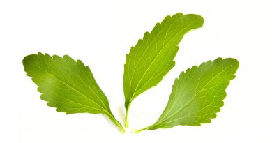 Stevia