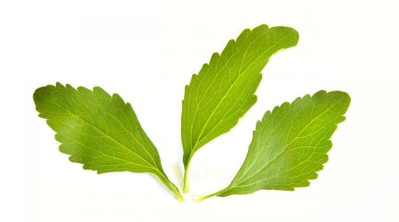 Stevia