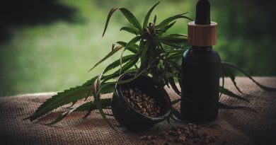 CBD Öl