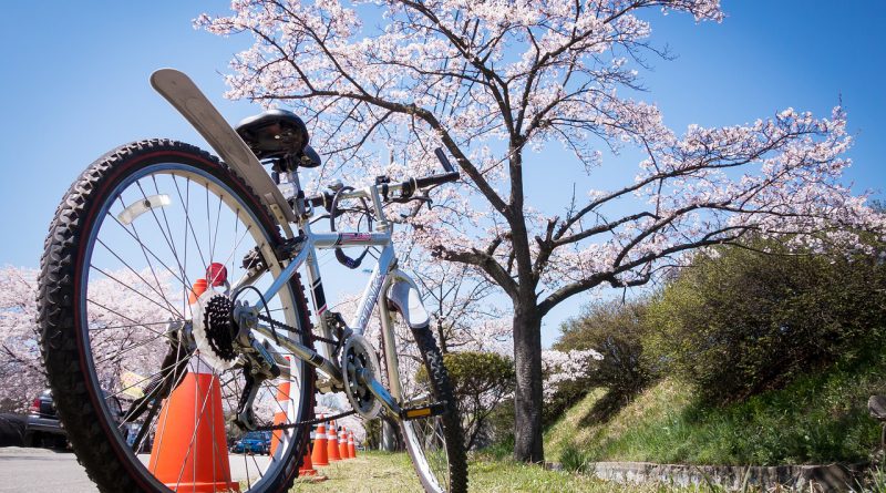 Radfahren