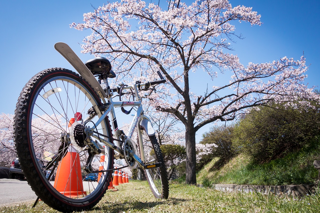 Radfahren