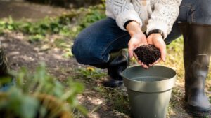 Schätze aus dem Garten: Komposthaufen und Kompostsieb richtig nutzen